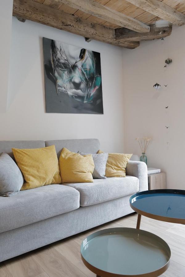 Balcon Sur Loire Apartment บลัวส์ ภายนอก รูปภาพ